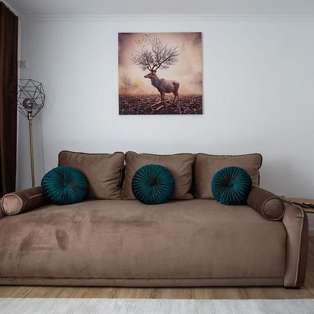 Apartament Victoria Satu Mare Buitenkant foto